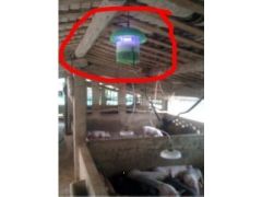 海敏电子LED型灭蚊器图2