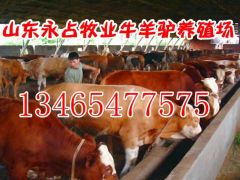 简介：