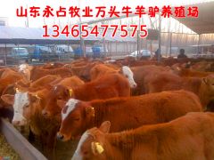 简介：