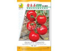 揭阳金记种业番茄种子图1