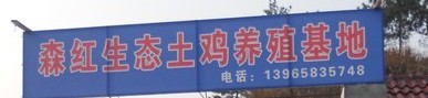 太湖县森红养殖农民专业合作社