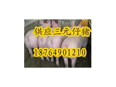 简介：