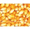 亚卫饲料大量求购玉米大豆高粱小麦