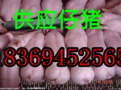 简介：