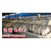 黑龙江养殖小尾寒羊利润和成本丨黑龙江养殖肉羊利润和成本