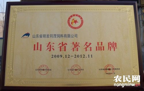 山東省著名品牌