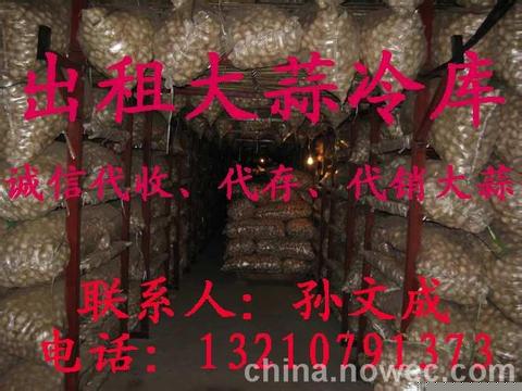 代收 代存金乡大蒜 蒜薹