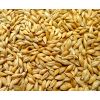 湖北安隆求购玉米，小麦，大麦，大豆，高粱，糠粕
