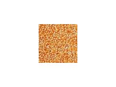 【杨经理】现款求购：玉米高粱豌豆菜粕小麦麸皮等图1