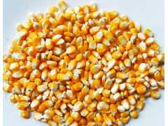 ┃成义诚饲料厂┃常年求购：玉米、大麦、麸皮、小麦