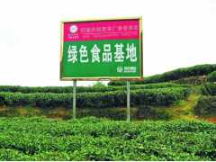 中国生态铁观音第一品牌香香茶业批发部图3