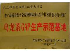茶叶 特级正品 清香型 铁观音 安溪铁观音 乌龙茶 厂家直销图2
