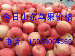 中国每十个苹果就有一个来自这里图3