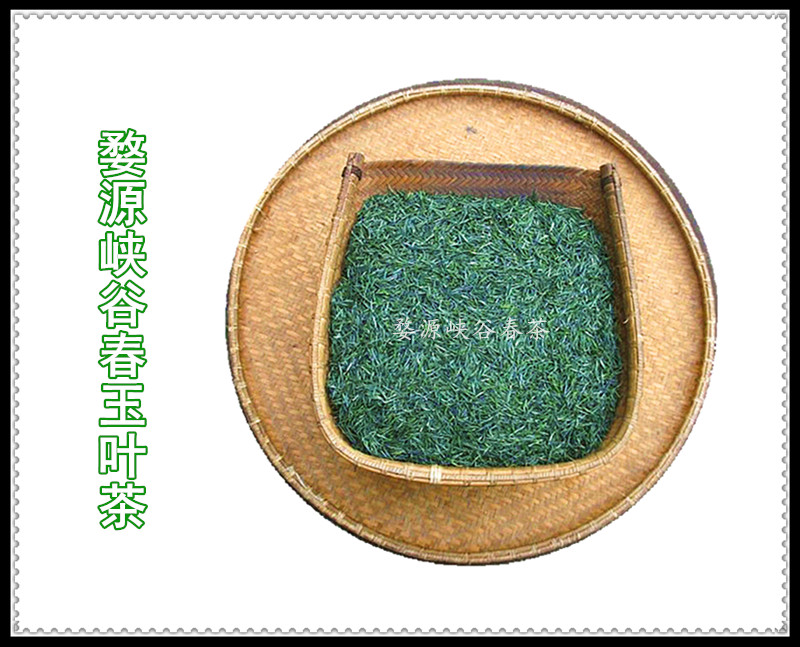 峡谷春玉叶茶12