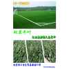 北京最便宜的人造草坪假草
