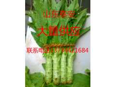 大量供应莴笋图1