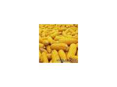 华农伟业大量收购：玉米小麦麸皮菜粕高粱等图1