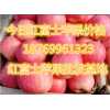 红富士苹果0.6元/斤大量批发红富士苹果