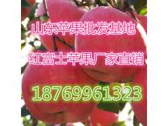 红富士苹果0.6元/斤大量批发红富士苹果图2