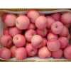 山东苹果基地丨红富士苹果批发0.6元/斤常熟
