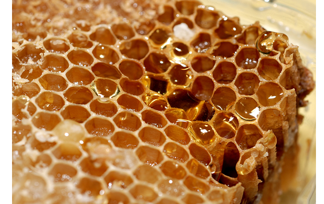 常年提供纯野生蜂蜜