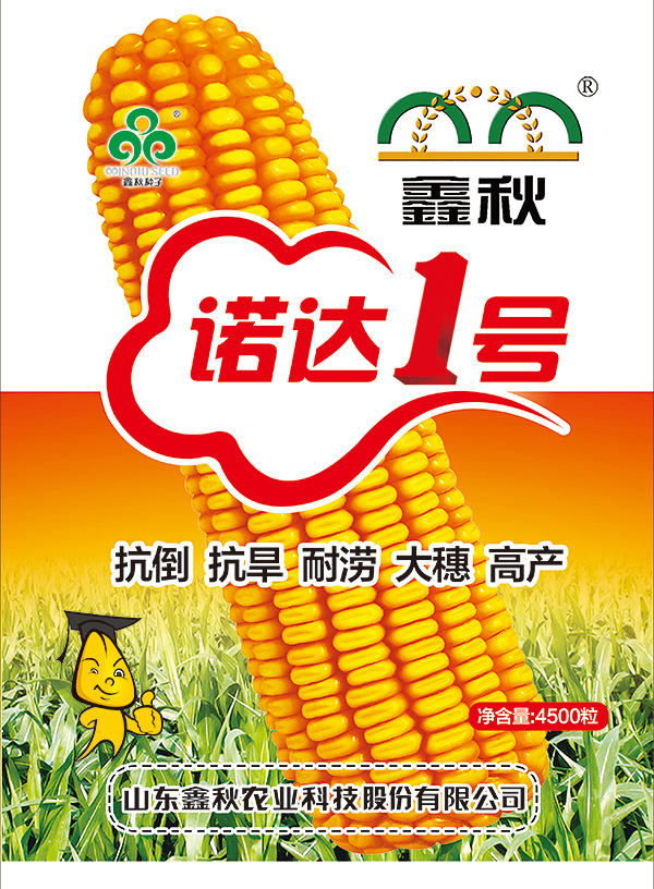 供应玉米种子鑫秋诺达1号 玉米良种 农作物种子 大田作物种子