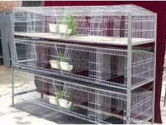 鸽子笼兔子笼鸡笼厂家鹌鹑笼兔笼规格鸽笼规格鹌鹑笼规格鸡鸽兔笼