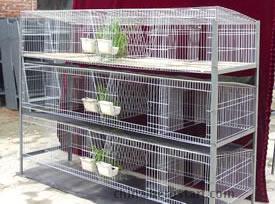 鸽子笼兔子笼鸡笼厂家鹌鹑笼兔笼规格鸽笼规格鹌鹑笼规格鸡鸽兔笼