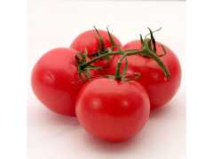 大量供应番茄西红柿（厚皮耐运输）戴维森3952出口俄罗斯专用图1