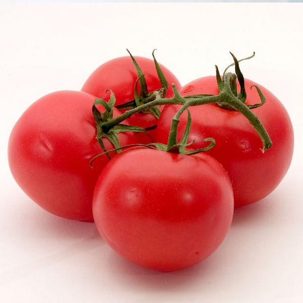 大量供应番茄西红柿（厚皮耐运输）戴维森3952出口俄罗斯专用