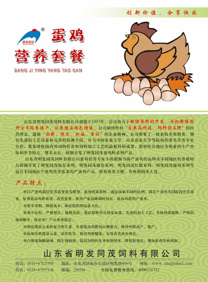 蛋雞營養(yǎng)正