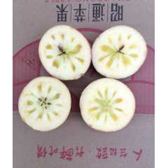云南昭通苹果批发2001红富士苹果糖心丑苹果8月上市图2