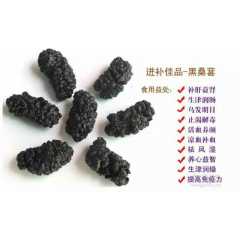 河北沧州大量供应~桑葚干图1