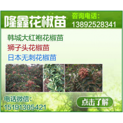 花椒树新品种