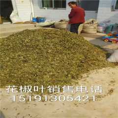 花椒树新品种图3