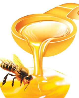 求购优质蜂蜜