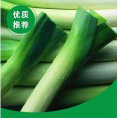 优质大葱图1