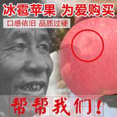 洛川苹果图1