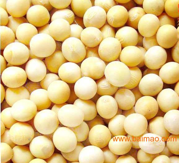 永红丰现款大量需求：玉米棉粕大米高粱麸皮等