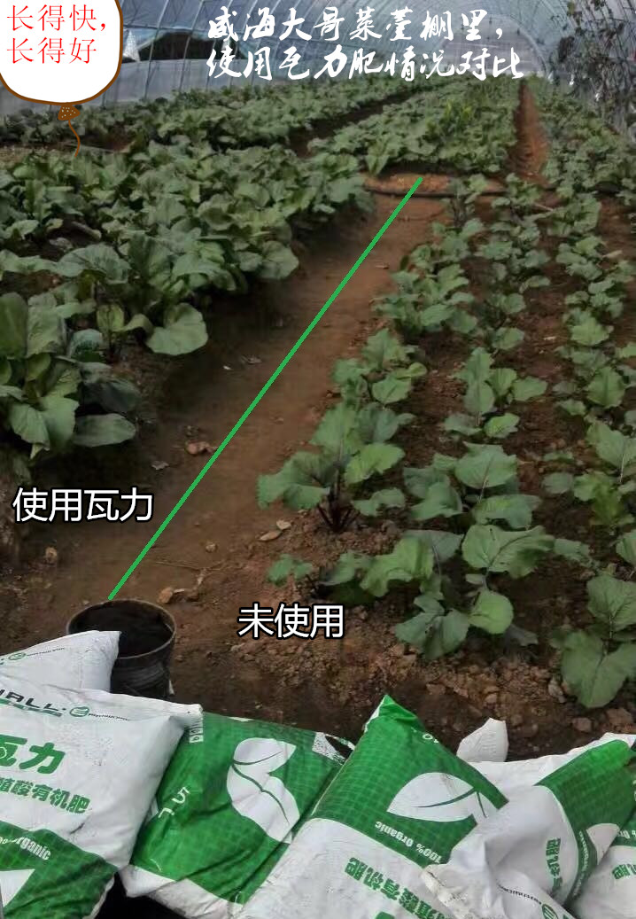 山东临淄蚯蚓粪有机肥面向全国诚聘优秀肥料销售员