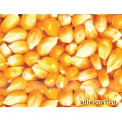 【永红丰现金】急求：棉粕玉米高粱次粉麦麸大米等图1