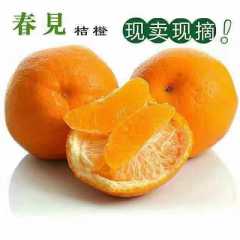 耙耙柑（春见）甜蜜如初恋的味道，你值得品尝图1
