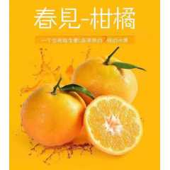 耙耙柑（春见）甜蜜如初恋的味道，你值得品尝图2