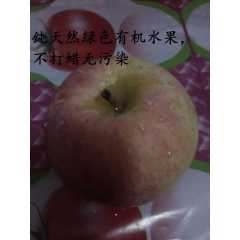 山东冠县红富士苹果