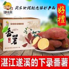 湛江农家自制土特产 下录红心番薯 现挖纯天然