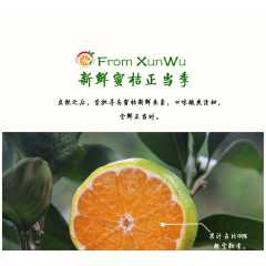 四川眉山大量蜜橘已上市，支持批发与零售，量大从优！！！