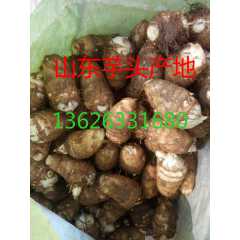新鲜芋头产地价格多少钱一斤