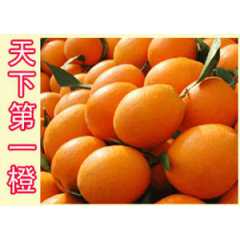 赣南脐橙哪一家好，当然是横江的脐橙，便宜又实惠