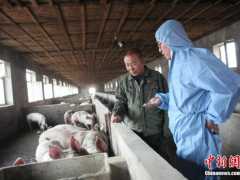 农业农村部：饲喂餐厨剩余物是非洲猪瘟原因之一