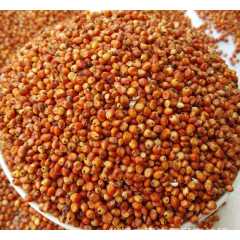 永红丰大量求购：玉米棉粕高粱碎米麸皮大豆图1